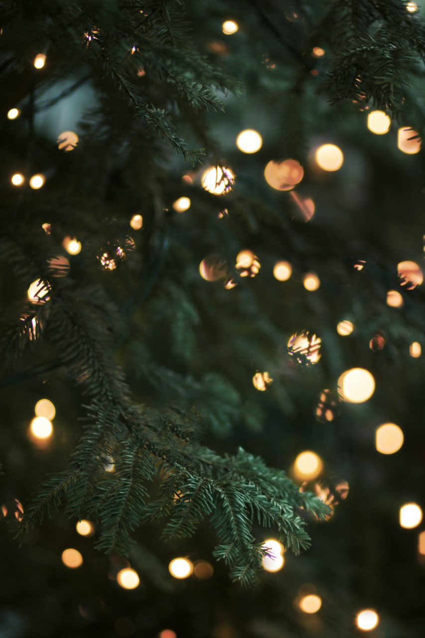 Gros plan sur un sapin de noël décoré avec une guirlande lumineux jaune. 
Pas de décoration. Style très épuré.